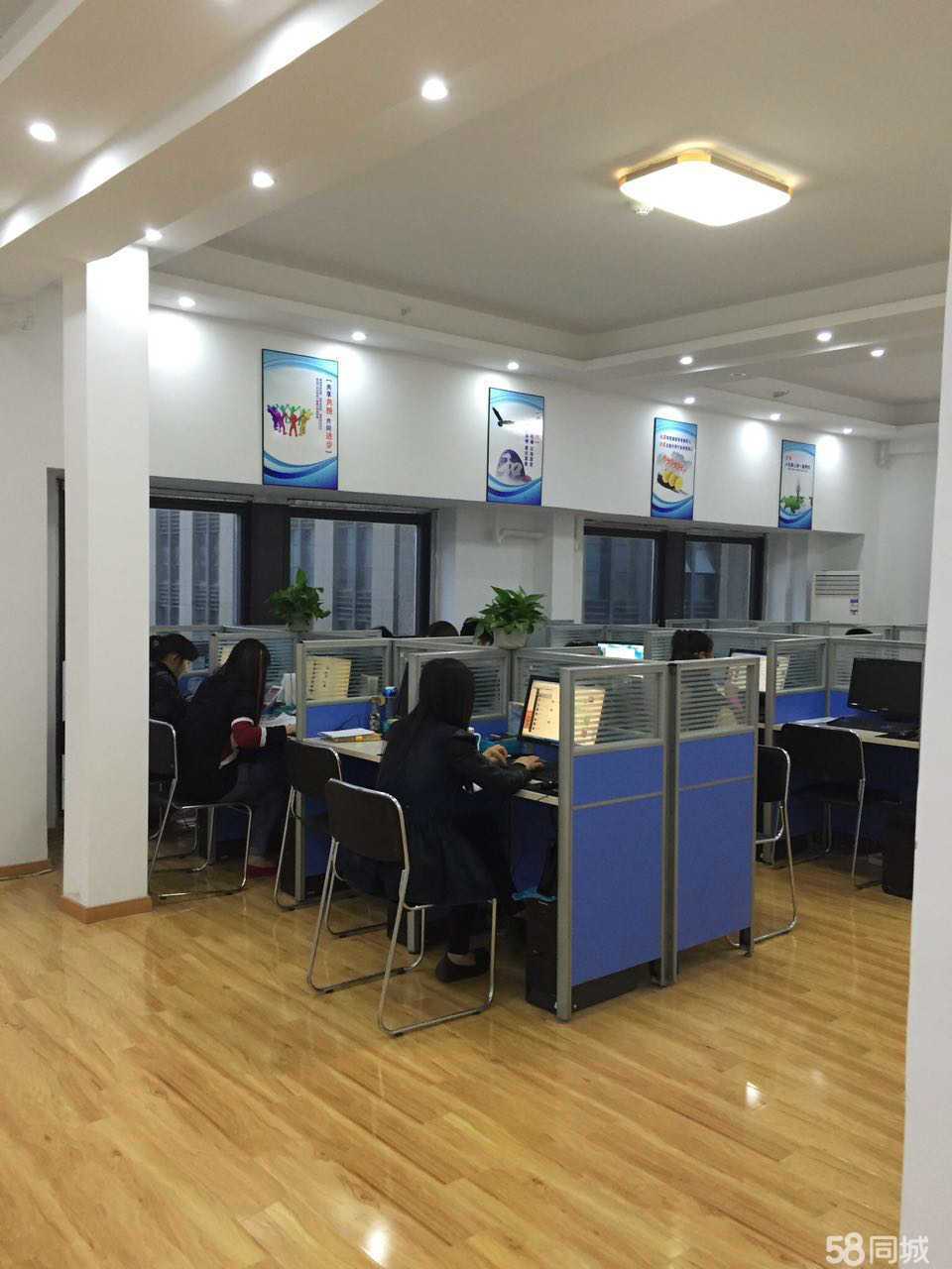 合肥銘洋商務信息服務 專業信息咨詢助力企業發展